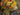 Vintage Colourful Floral Bouquet Oil Painting - Oil on Canvas - Still Life, 1950s