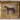 antique, vintage, oil painting, portrait, oil on canvas, Dutch, European, horse, animal, equestrian, signed, Otto Eerelman, gilt, framed, nature, authentic, original, decor, interior, gold