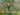 Antique French Oil Painting - Impressionist Trees in Orchard Country Landscape Scene - Antique Oil Painting on Wood - Early 1900s