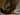 still life painting
antique still life
vintage kitchen art
still life original
antique moody still
vintage hunting oil
still life hunting
vintage game still
antique game oil
dark antique oil
moody antique oil
kitchen painting
rustic wall art
Tags:
Antique still life oil painting, Dark Moody Oil Painting, Dark Moody Still Life, Antique French Bird Still Life Oil Painting, Oil on Oak

Description: 
Dated 1883 - A lovely French Antique Still Life with a Pheasant. Very nice natural colours.