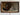 still life painting
antique still life
vintage kitchen art
still life original
antique moody still
vintage hunting oil
still life hunting
vintage game still
antique game oil
dark antique oil
moody antique oil
kitchen painting
rustic wall art
Tags:
Antique still life oil painting, Dark Moody Oil Painting, Dark Moody Still Life, Antique French Bird Still Life Oil Painting, Oil on Oak

Description: 
Dated 1883 - A lovely French Antique Still Life with a Pheasant. Very nice natural colours.