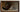still life painting
antique still life
vintage kitchen art
still life original
antique moody still
vintage hunting oil
still life hunting
vintage game still
antique game oil
dark antique oil
moody antique oil
kitchen painting
rustic wall art
Tags:
Antique still life oil painting, Dark Moody Oil Painting, Dark Moody Still Life, Antique French Bird Still Life Oil Painting, Oil on Oak

Description: 
Dated 1883 - A lovely French Antique Still Life with a Pheasant. Very nice natural colours.