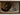 still life painting
antique still life
vintage kitchen art
still life original
antique moody still
vintage hunting oil
still life hunting
vintage game still
antique game oil
dark antique oil
moody antique oil
kitchen painting
rustic wall art
Tags:
Antique still life oil painting, Dark Moody Oil Painting, Dark Moody Still Life, Antique French Bird Still Life Oil Painting, Oil on Oak

Description: 
Dated 1883 - A lovely French Antique Still Life with a Pheasant. Very nice natural colours.