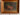 1904 fruit still life,