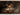 large french floral painting,