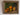 french citrus painting,