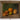 french citrus painting,
