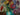 colorful vintage flowers,