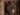 european oil painting european oil painting