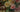French floral still life, roses and daisies painting,