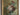 french still life, antique oil art, 1880s painting, floral still life,