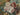gilt frame art, french flower art, antique flowers,