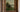 antique Dutch English pastoral painting, 19th century cattle painting,