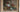 Dutch painter working in Paris, antique daisies and poppies painting,