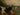 cows grazing in meadow painting, antique English countryside painting,