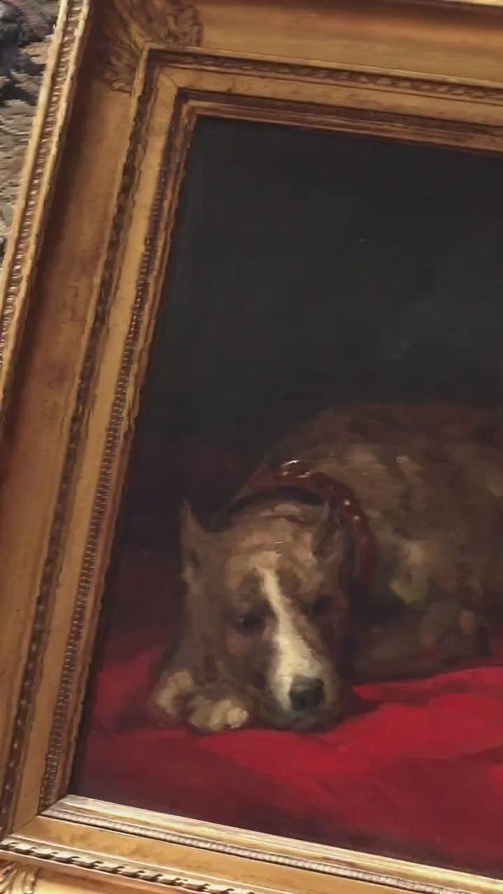 Antique Victorian Dog Portrait Oil Painting | Resting Terrier on Red Velvet | Faithful Companion in Gold Framed